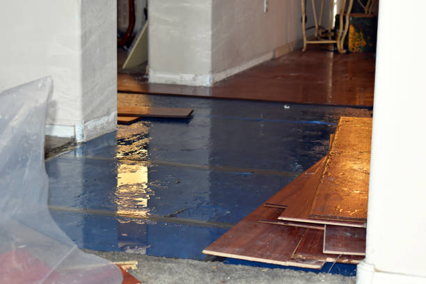 Professional Water Extraction technician working in Beasley, TX
